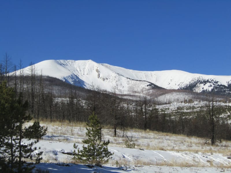 Observation photo 1