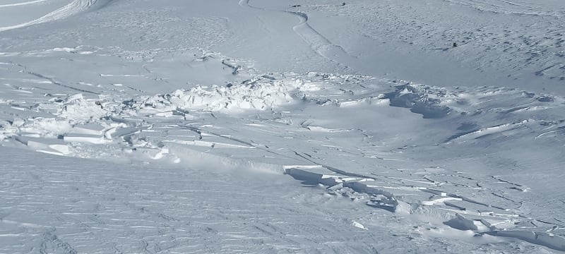 Observation photo 4