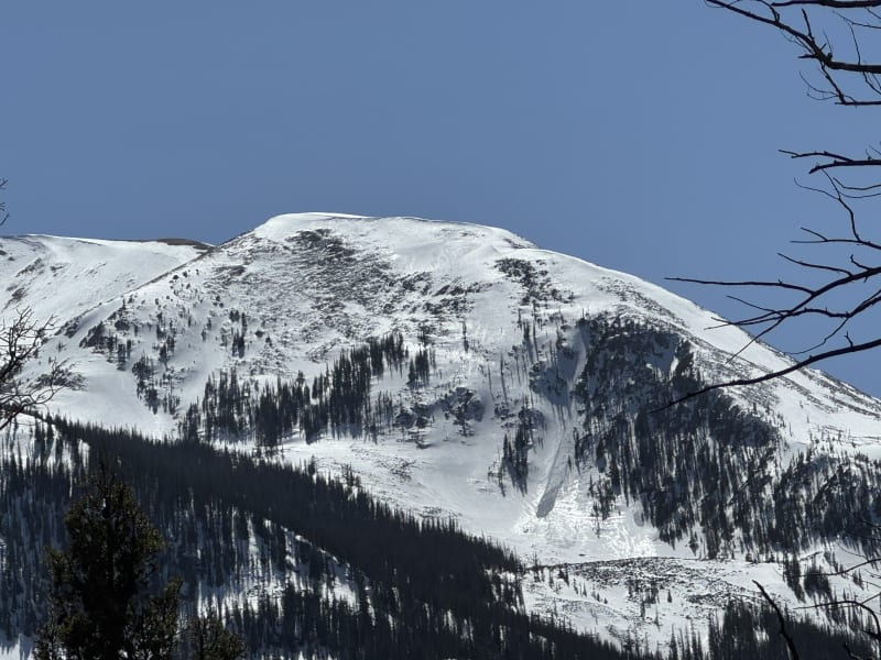 Observation photo 1