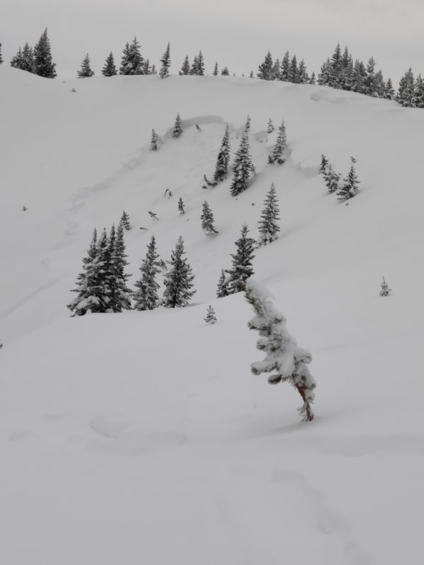 Observation photo 1