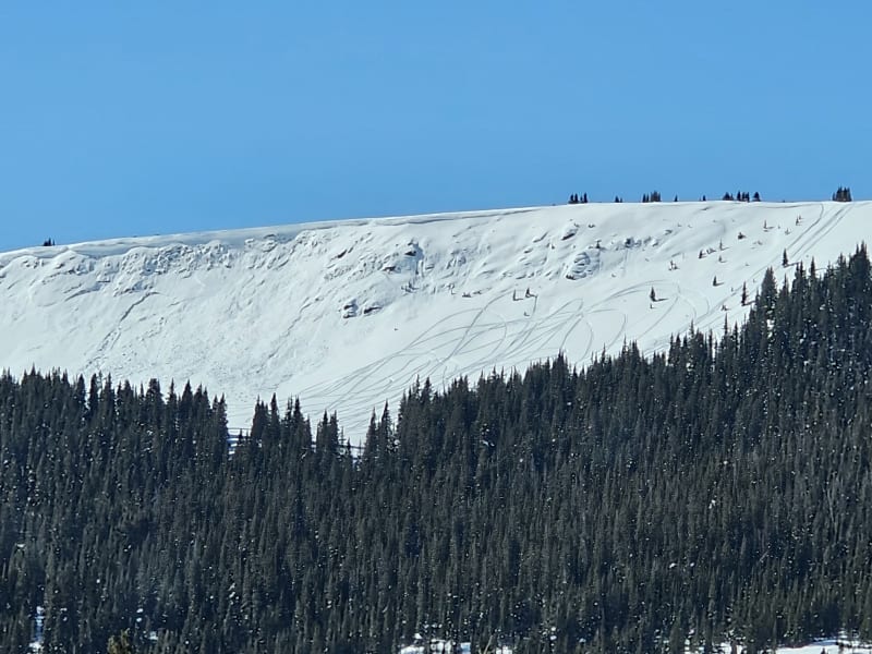 Observation photo 1