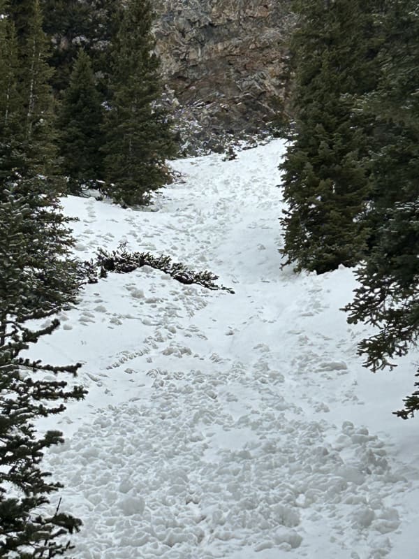 Observation photo 2