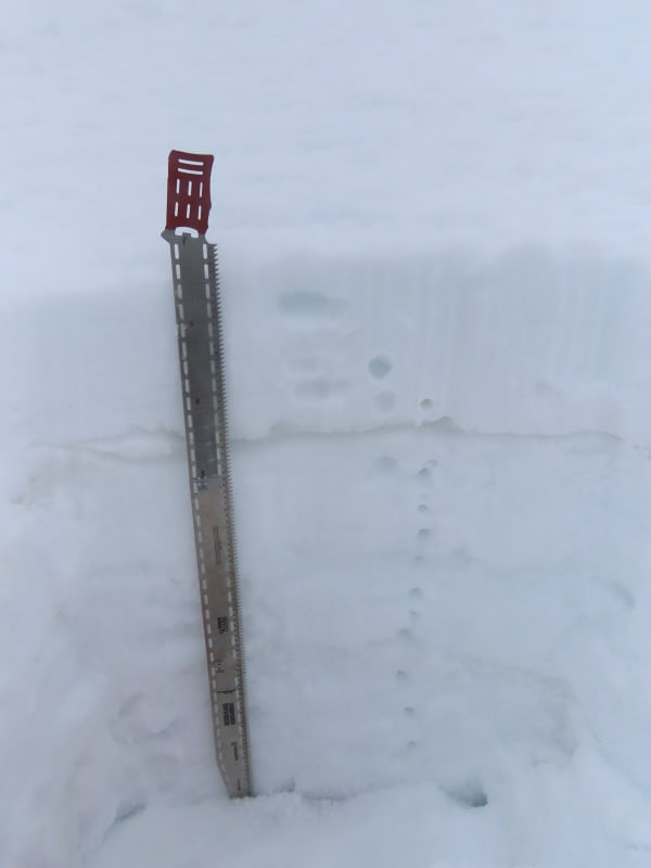 Observation photo 2