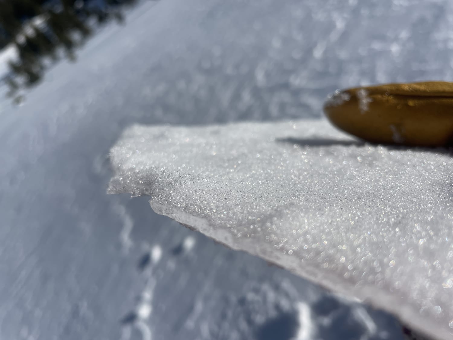 Observation photo