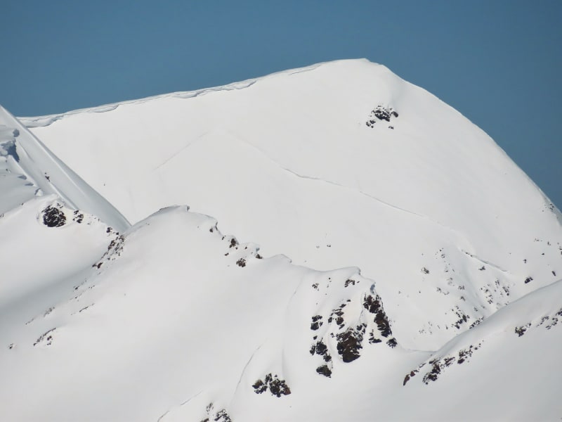 Observation photo 6