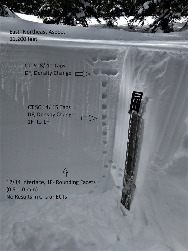 Observation photo 4