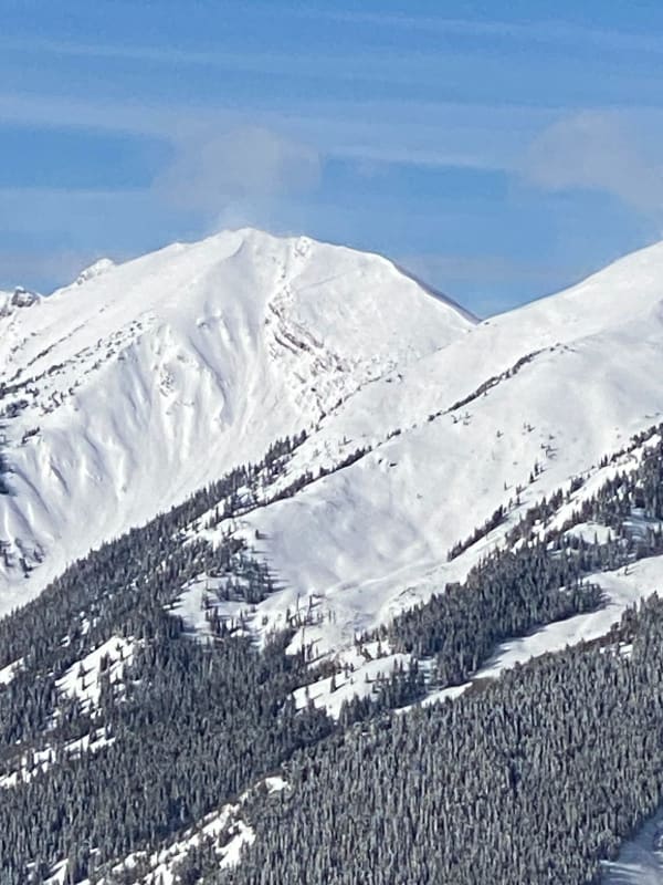 Observation photo 1