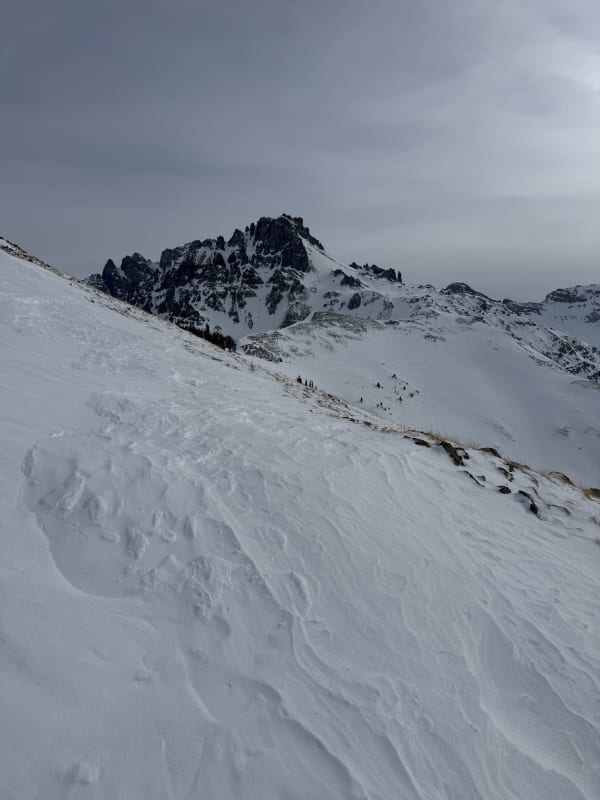 Observation photo 1