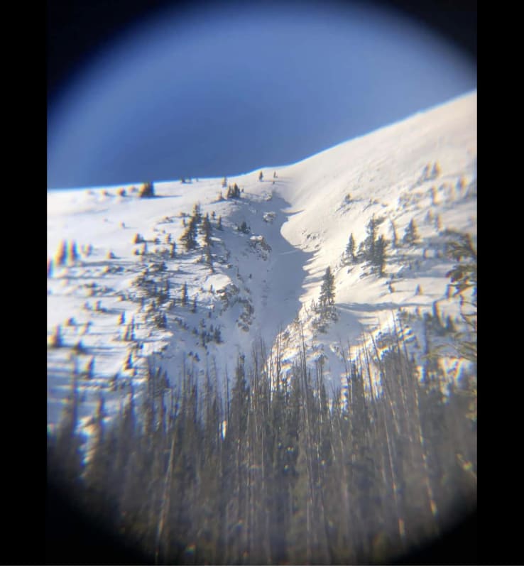Observation photo 1