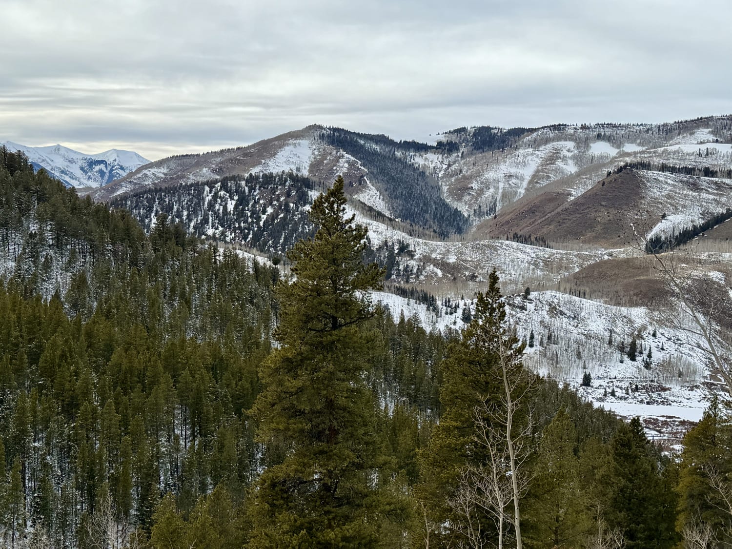 Observation photo