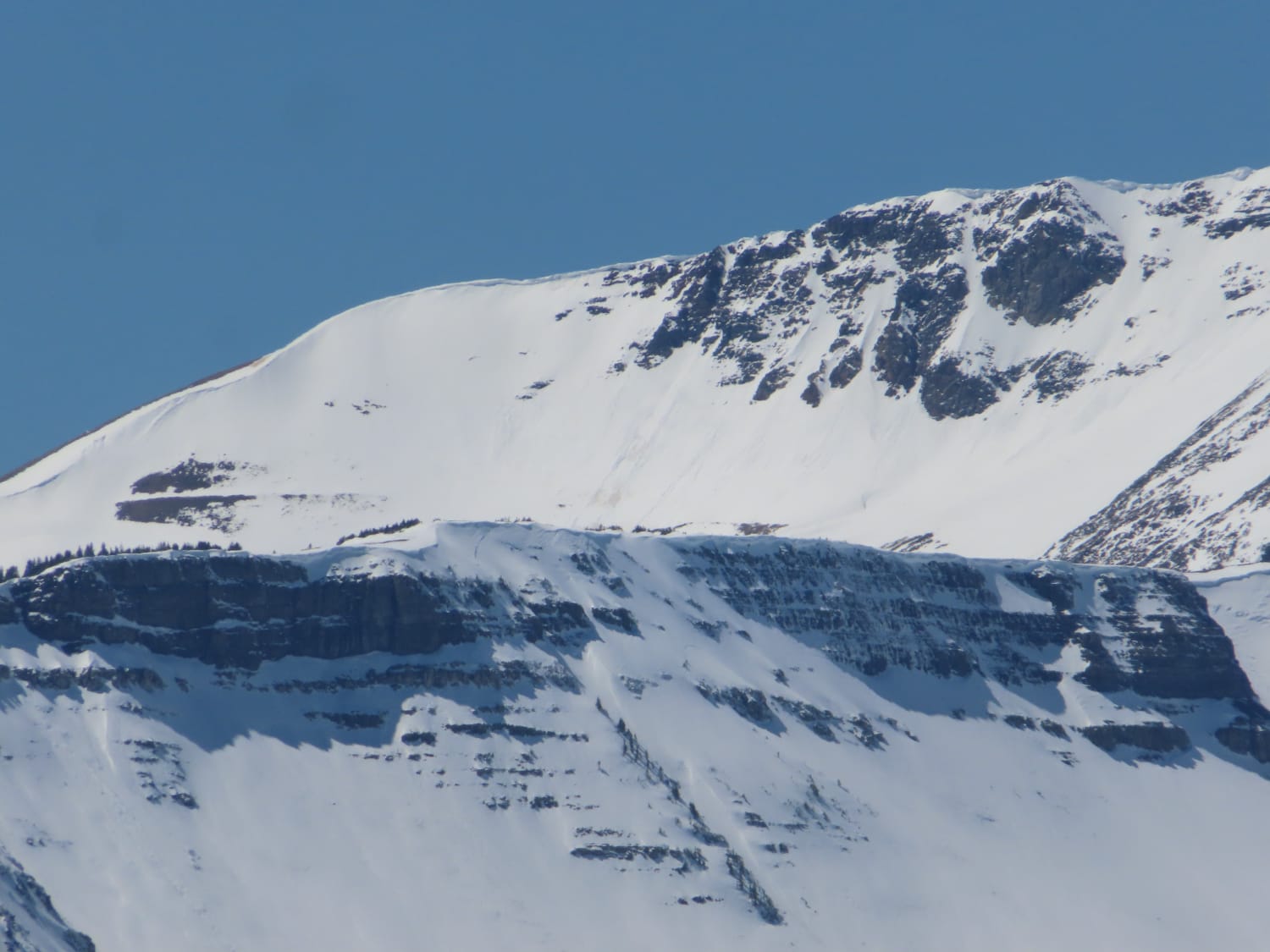 Observation photo