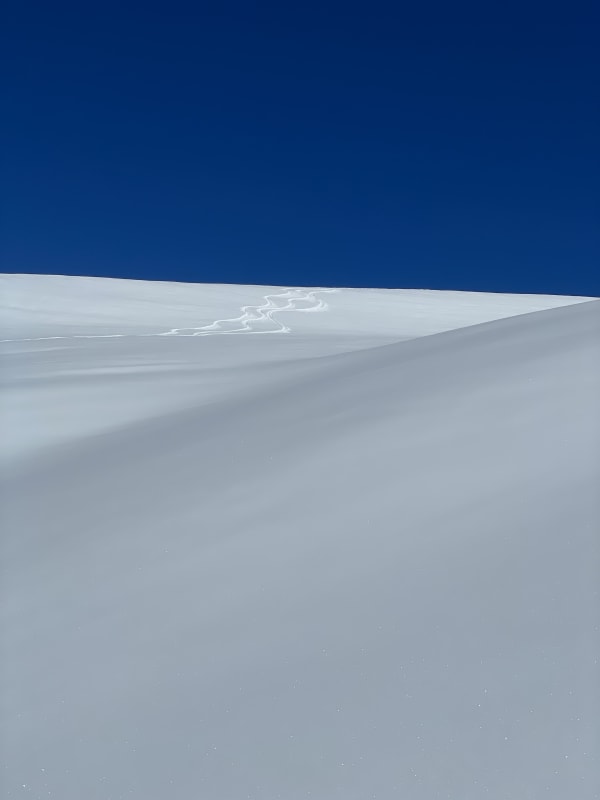 Observation photo 1