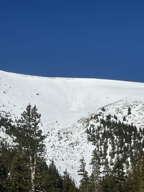 Observation photo 6