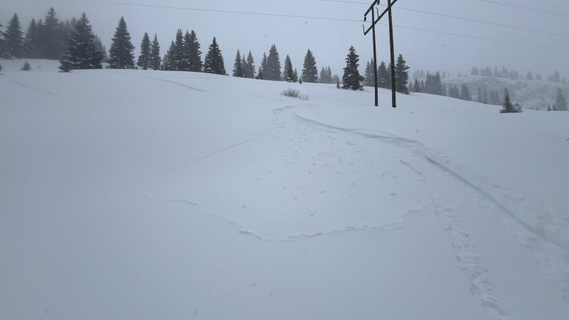 Observation photo 1