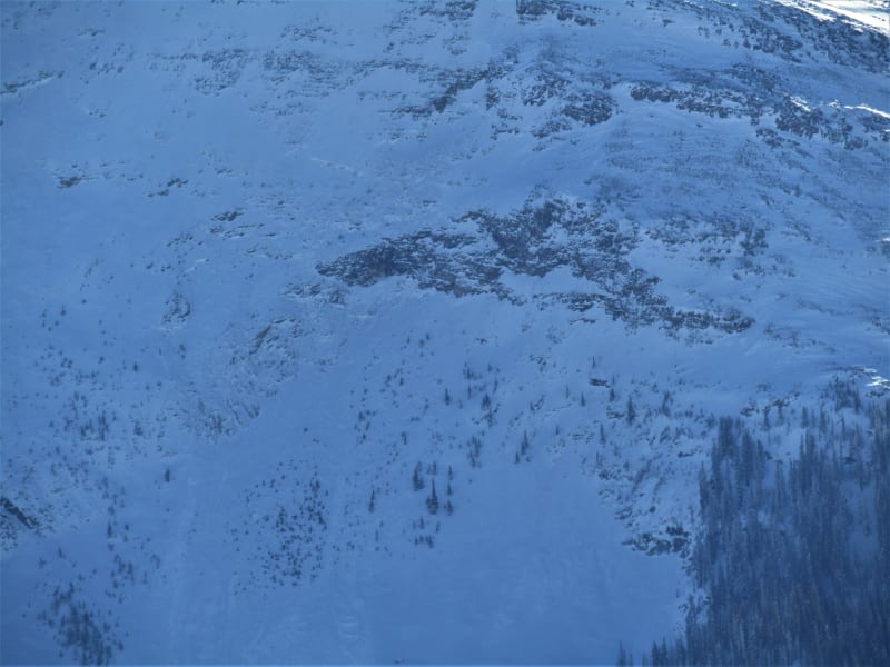 Observation photo 1