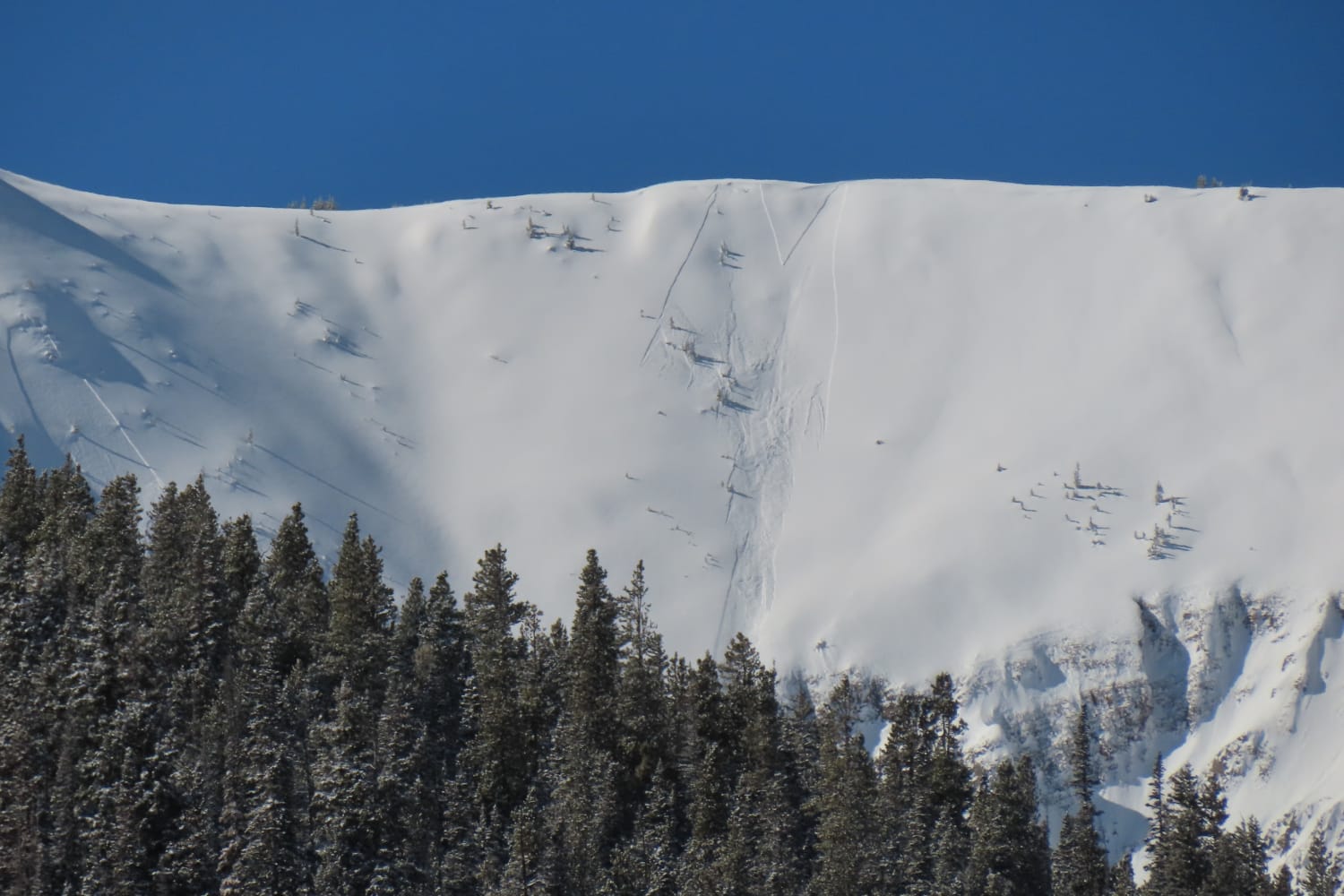 Observation photo