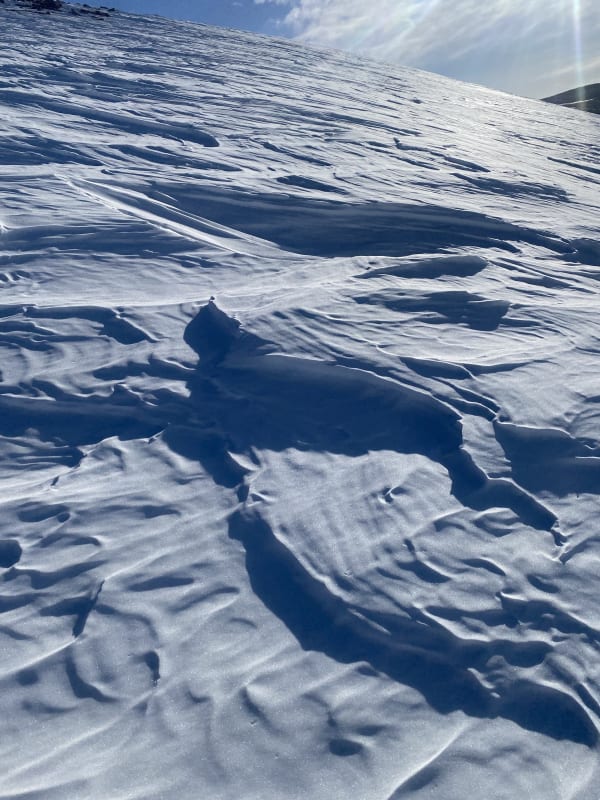 Observation photo 4