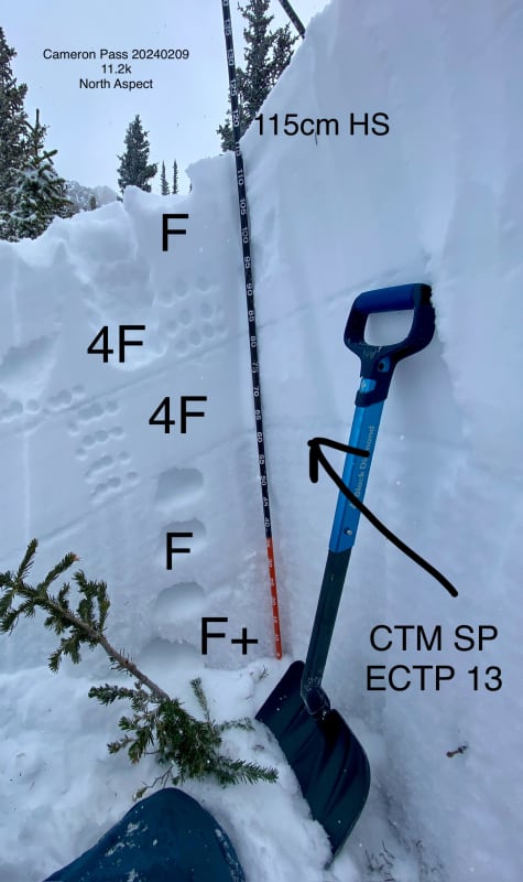 Observation photo 1