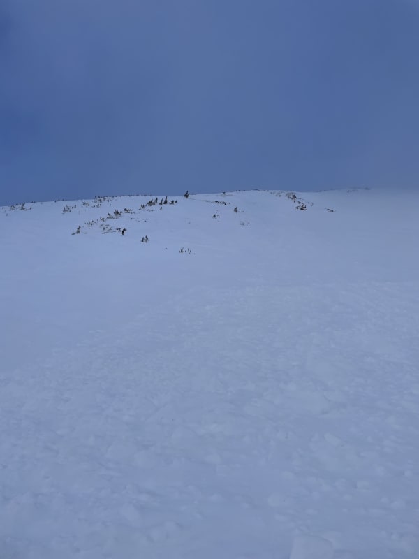 Observation photo 2