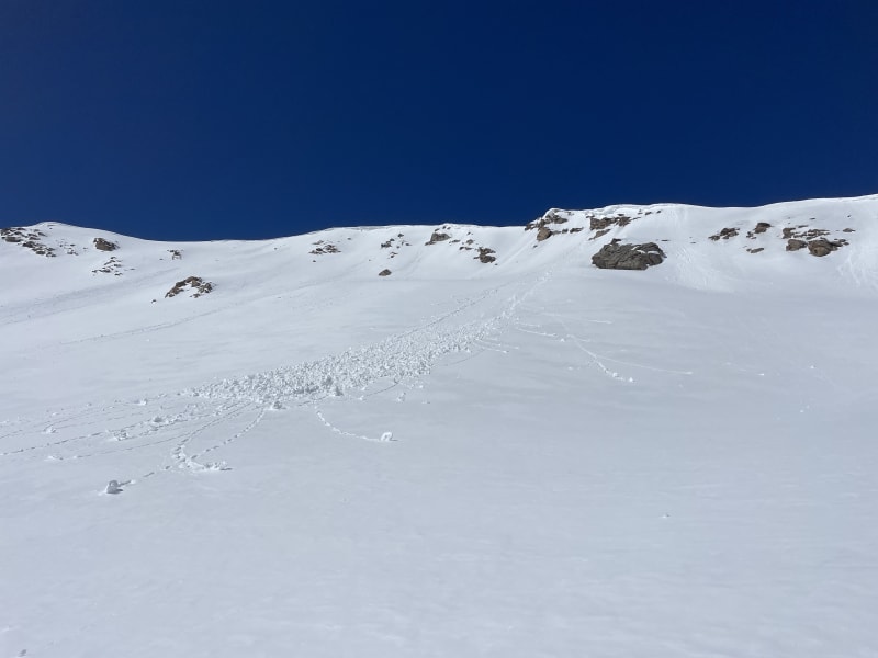 Observation photo 1