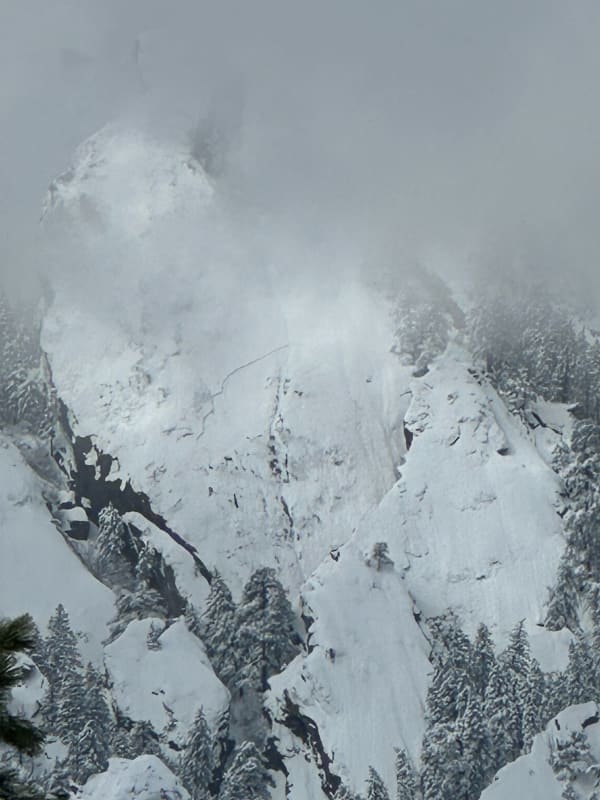Observation photo 1