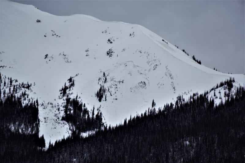 Observation photo 3