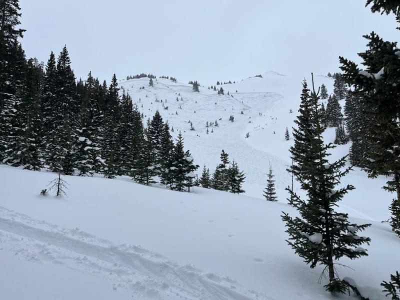 Observation photo 1