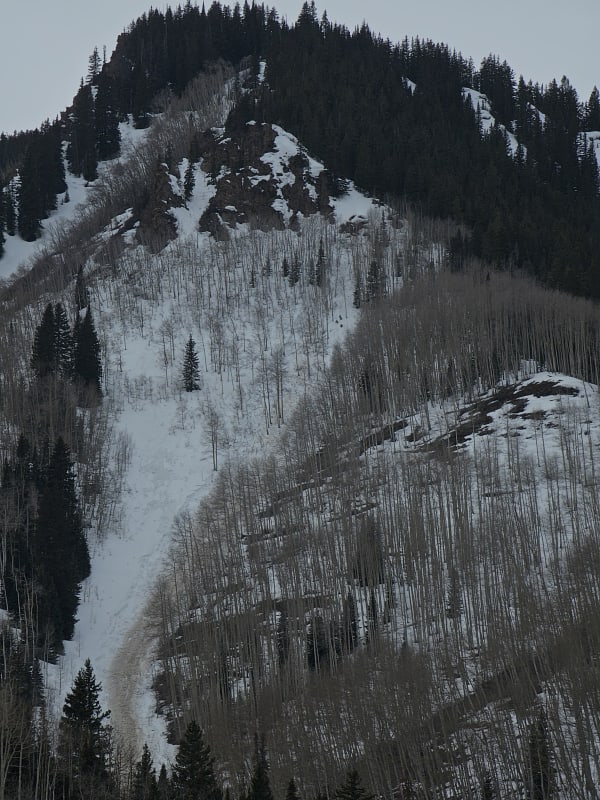 Observation photo 4