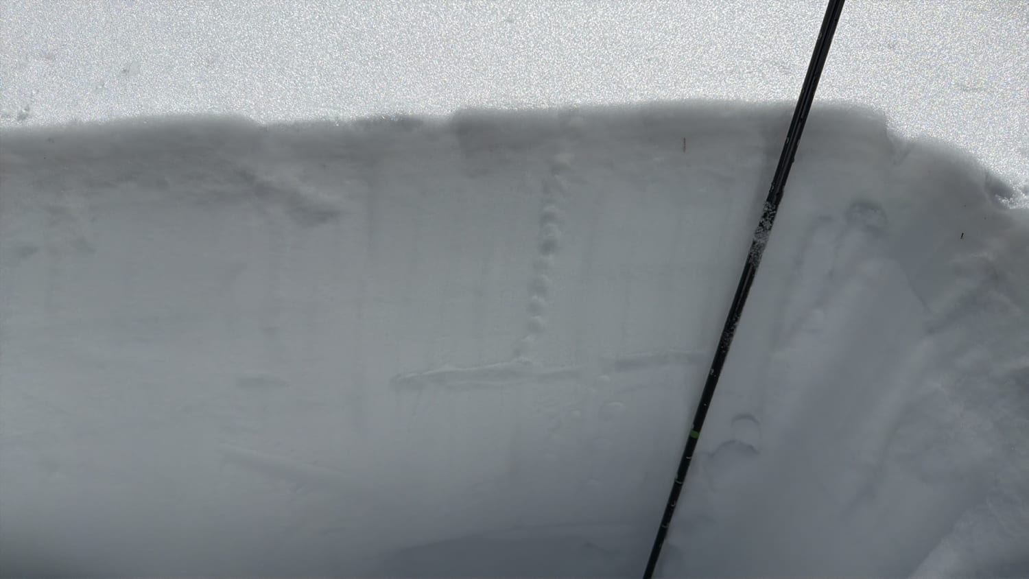 Observation photo