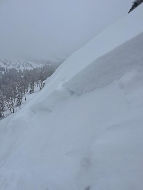Observation photo 3