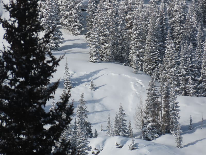 Observation photo 3