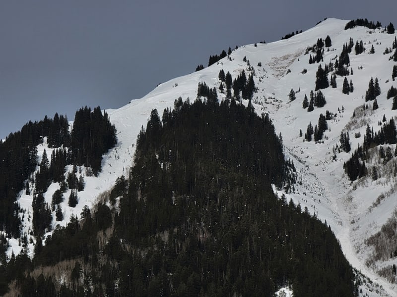 Observation photo 2
