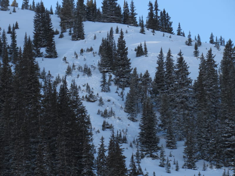 Observation photo 1