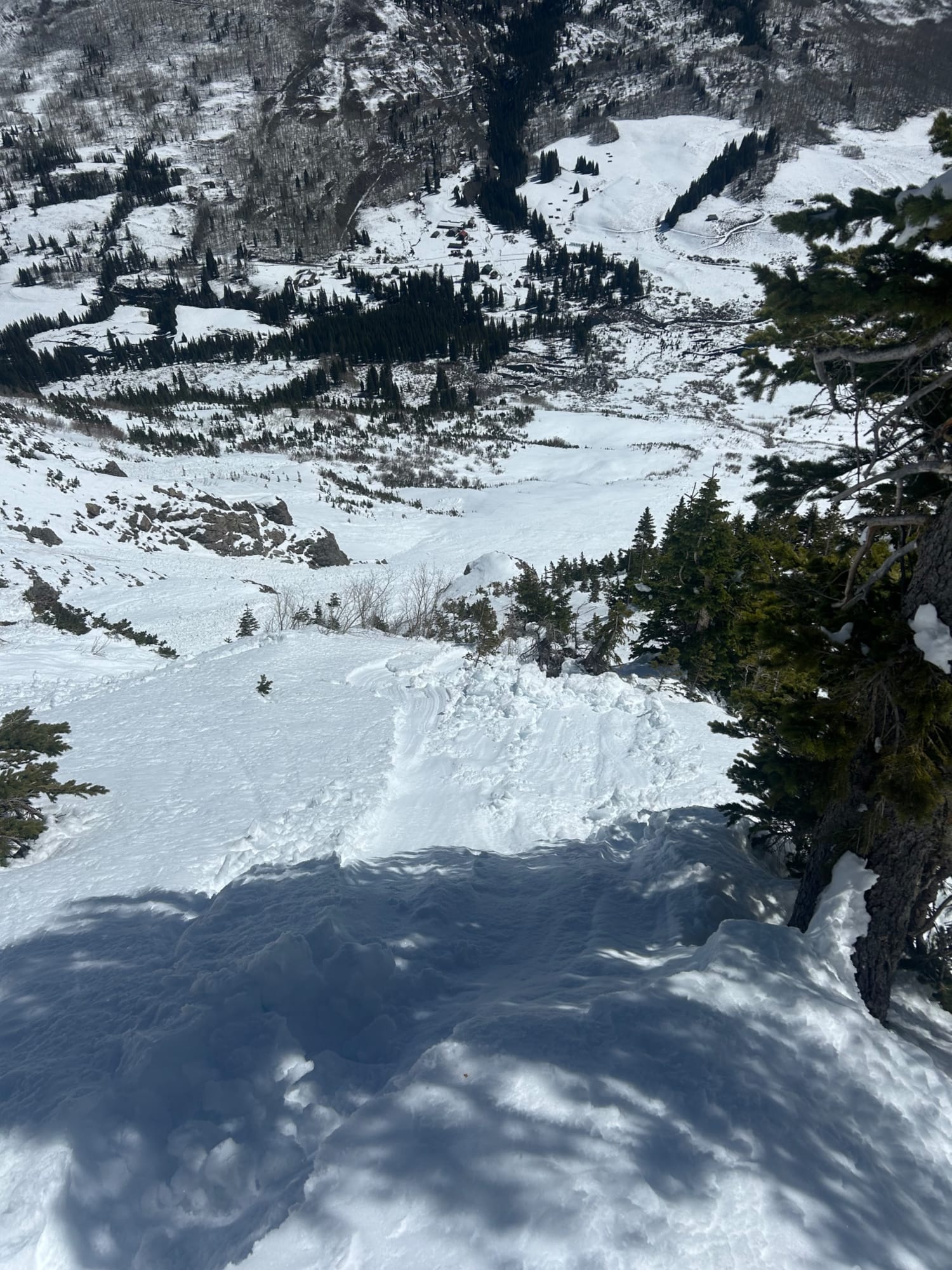 Observation photo