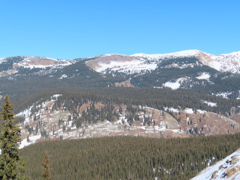 Observation photo 8