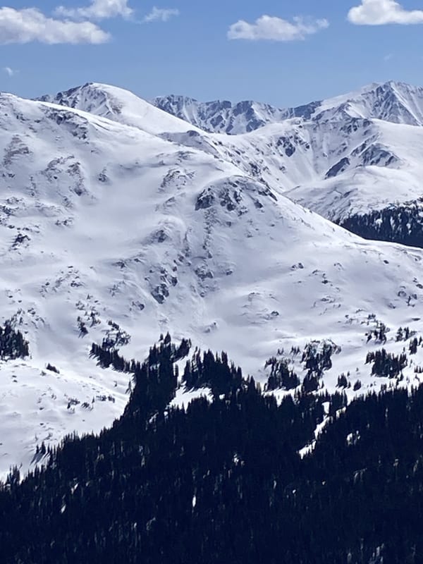 Observation photo 1