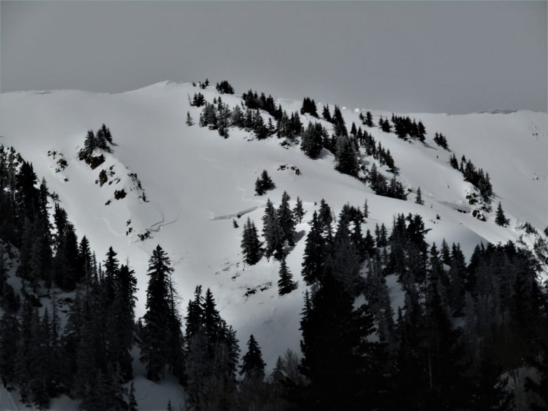 Observation photo 8
