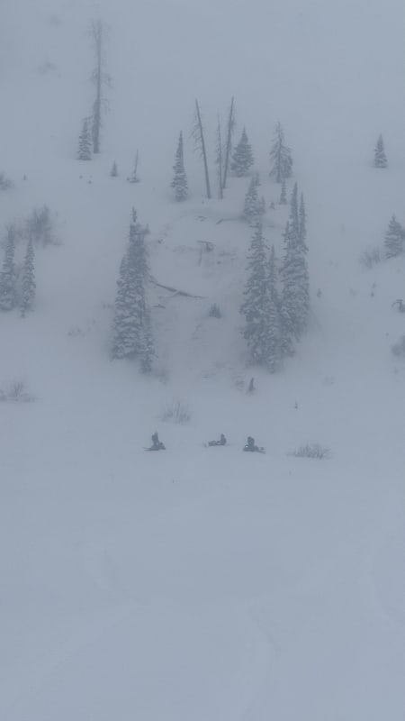 Observation photo 1