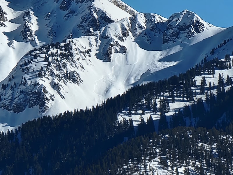 Observation photo 1