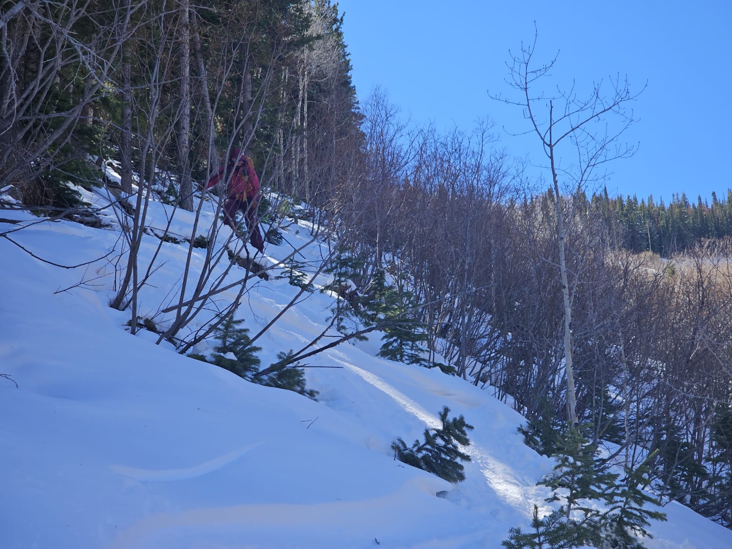 Observation photo