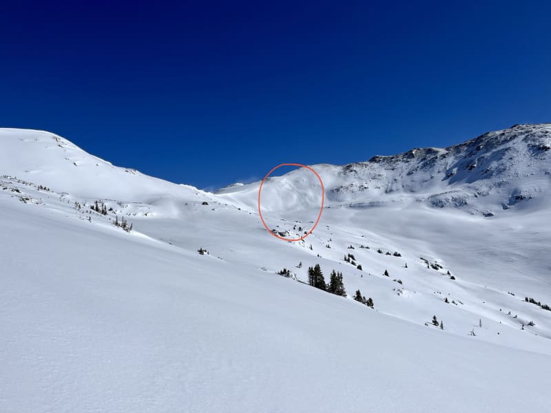 Observation photo 1