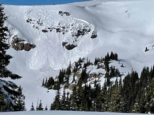 Observation photo 2