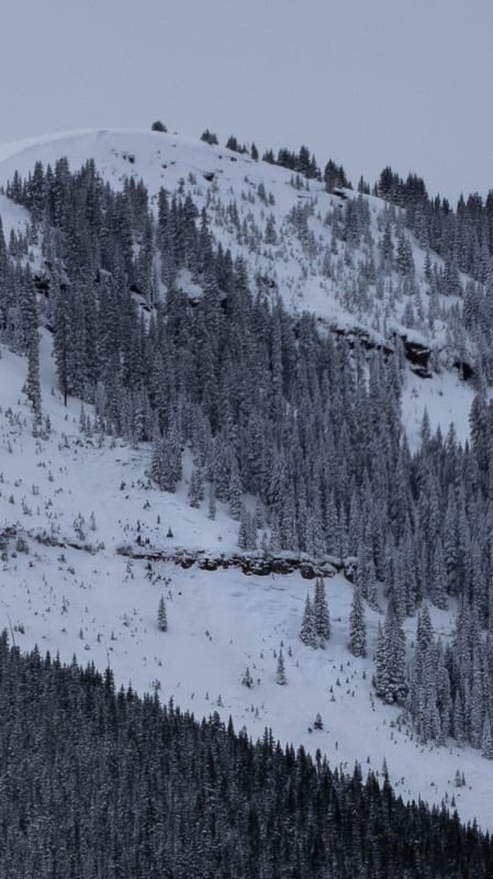 Observation photo 1