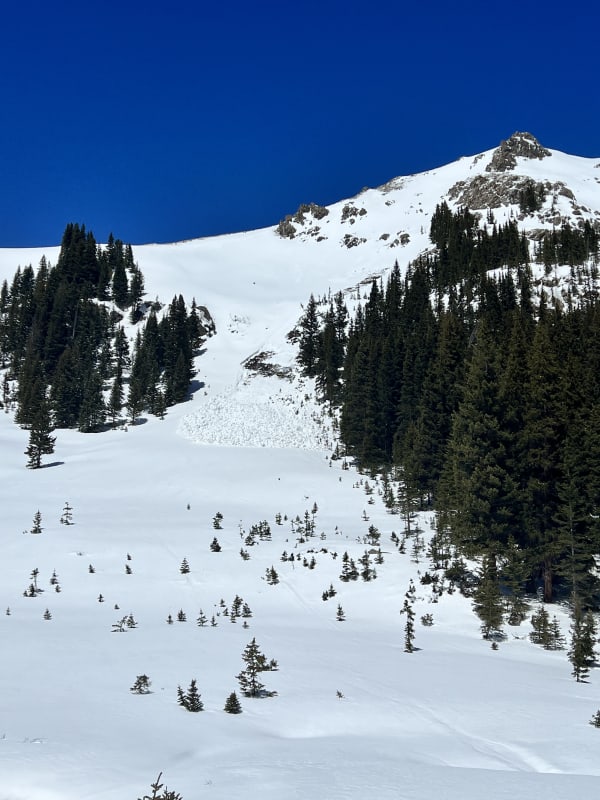 Observation photo 1