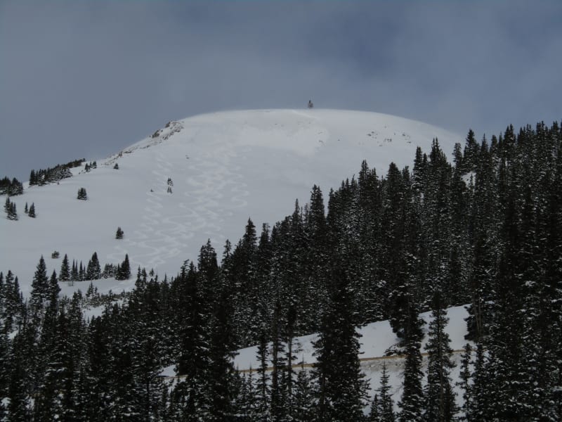 Observation photo 1