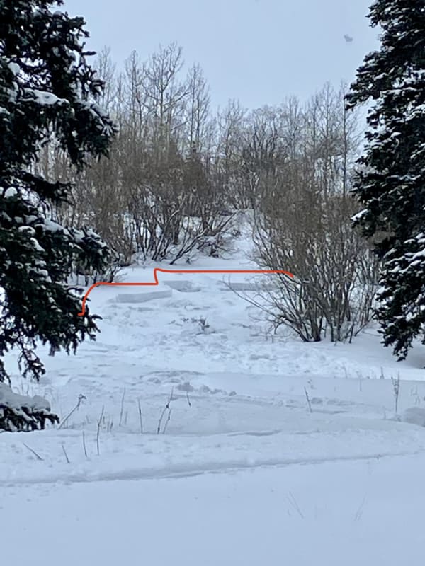 Observation photo 4