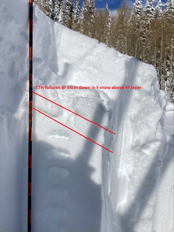 Observation photo 1