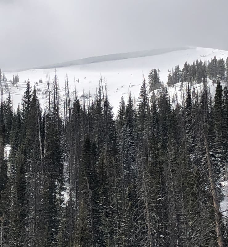 Observation photo 1