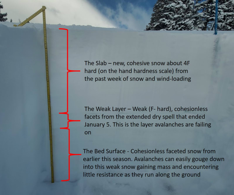 Observation photo 1
