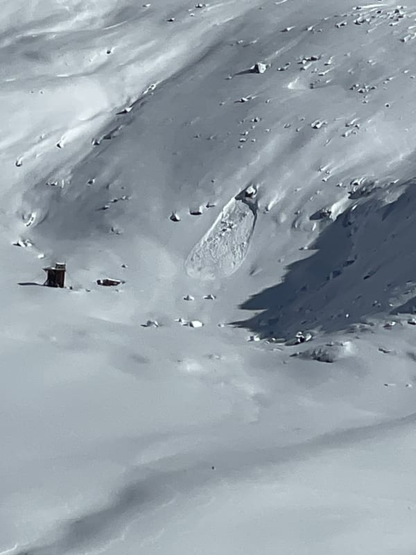 Observation photo 1